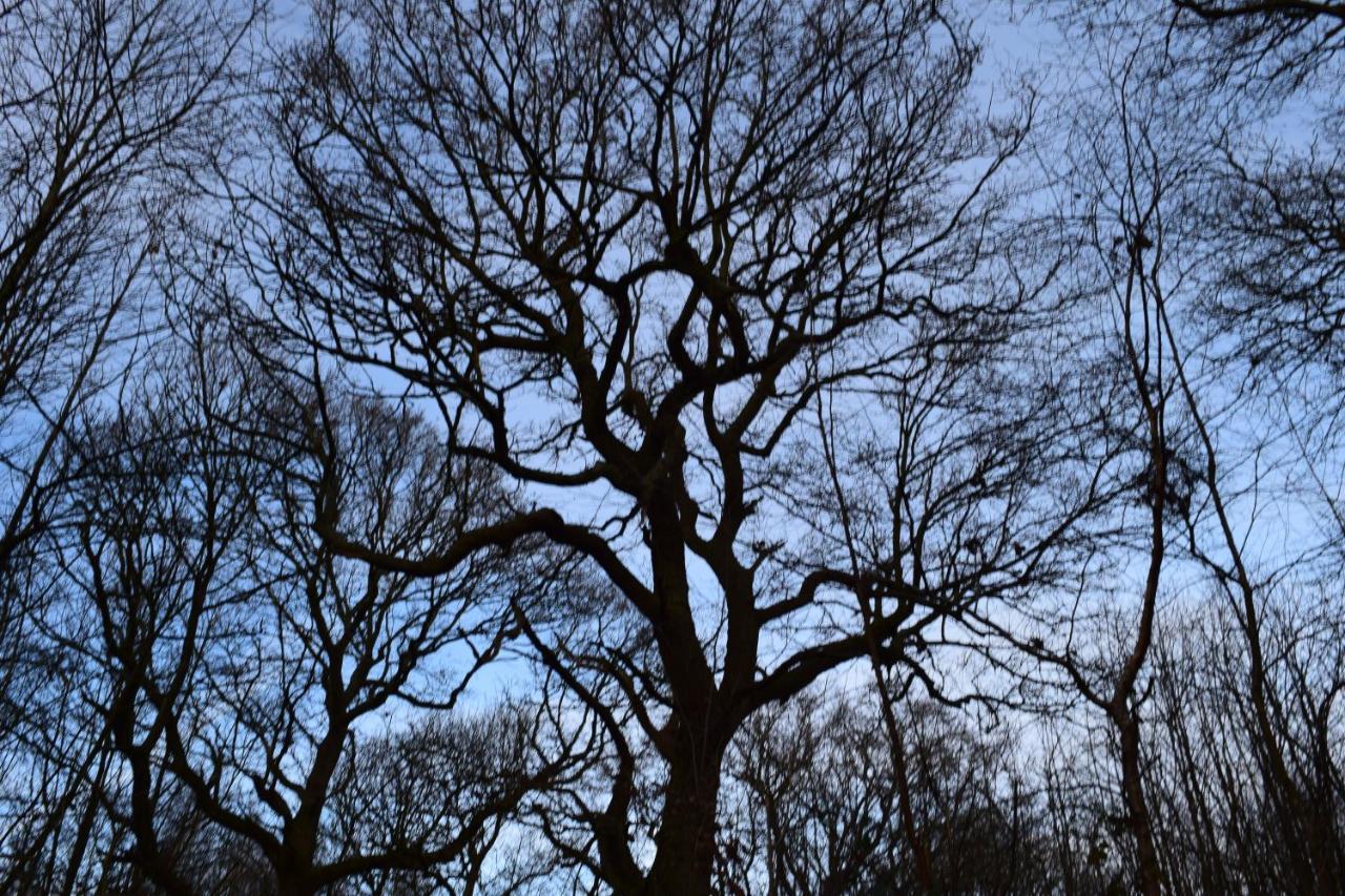 The Plough